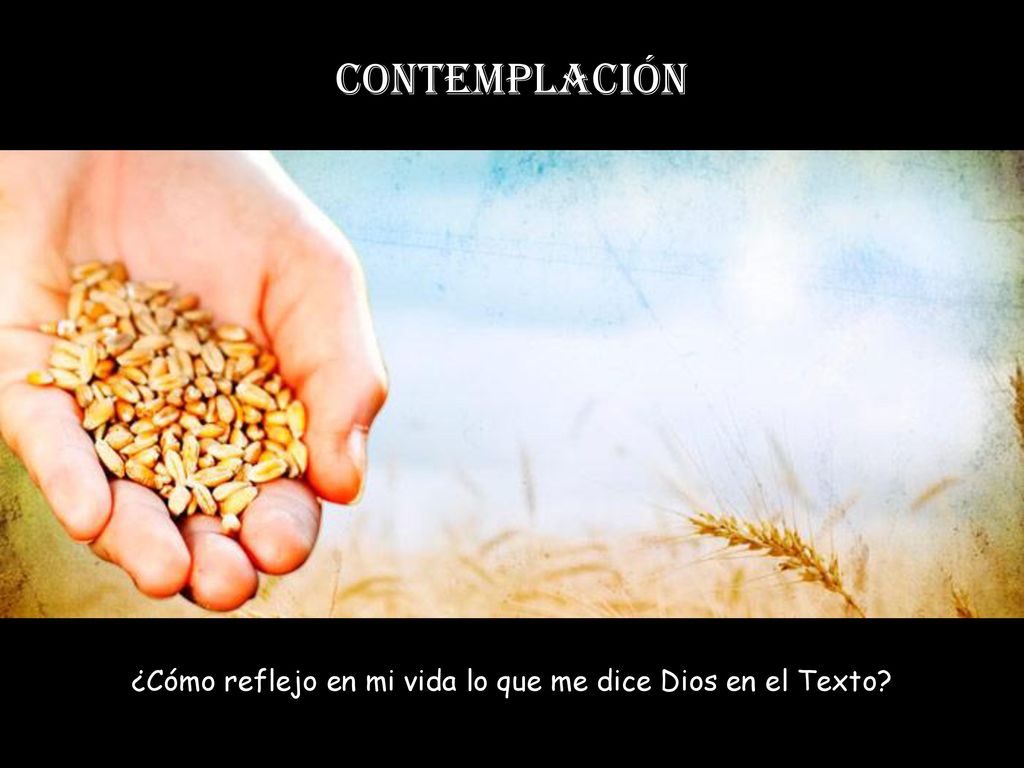 ¿Cómo reflejo en mi vida lo que me dice Dios en el Texto