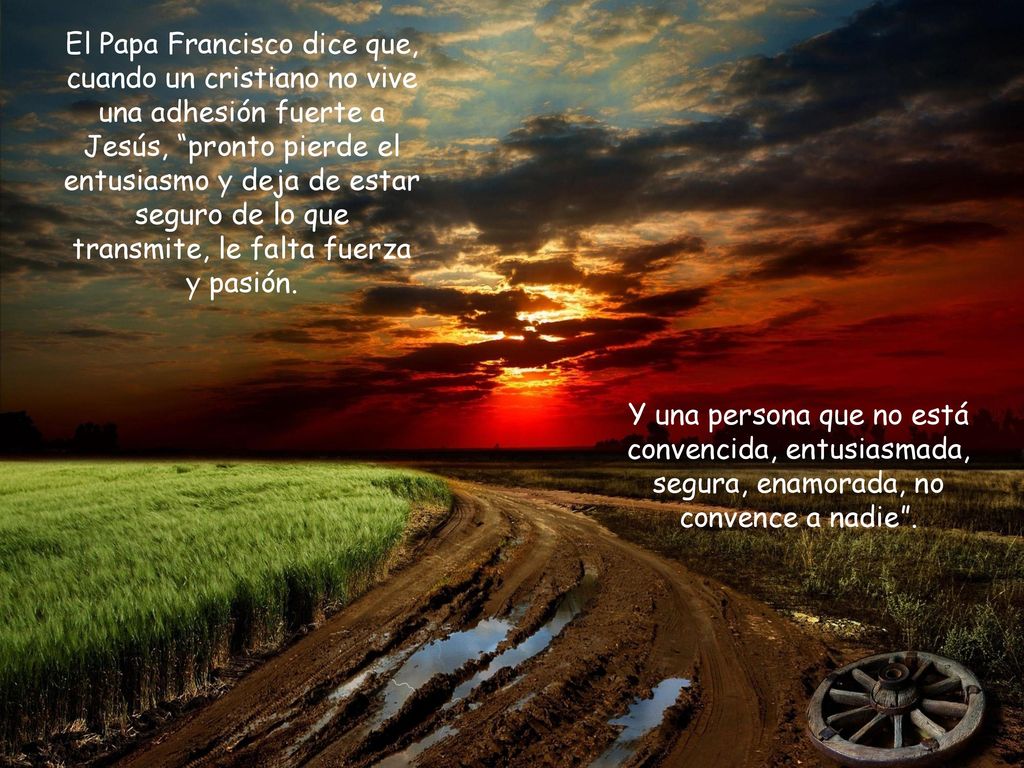 El Papa Francisco dice que, cuando un cristiano no vive una adhesión fuerte a Jesús, pronto pierde el entusiasmo y deja de estar seguro de lo que transmite, le falta fuerza y pasión.