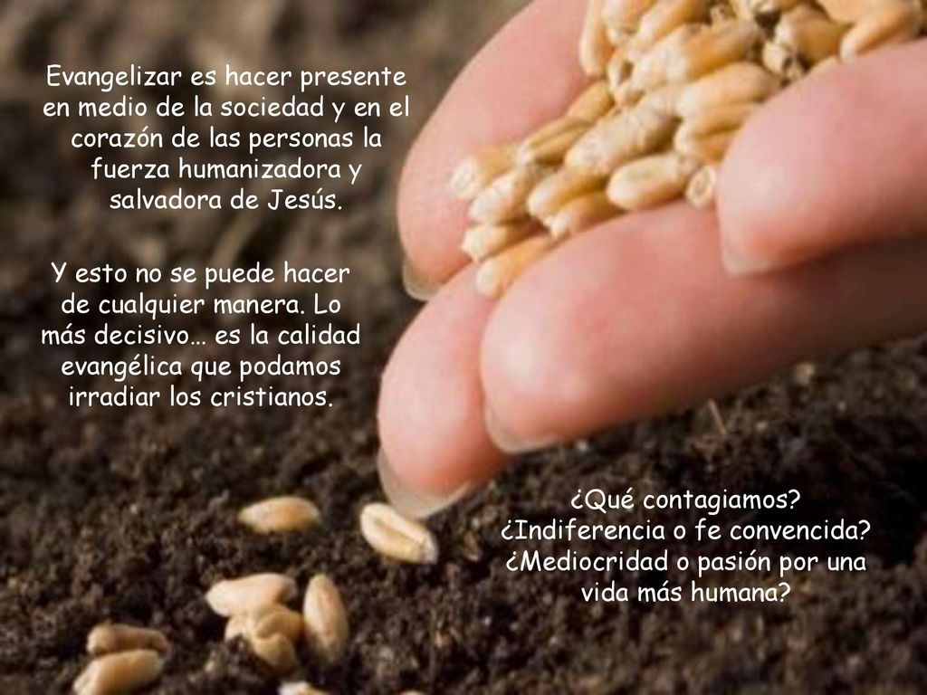 Evangelizar es hacer presente en medio de la sociedad y en el corazón de las personas la fuerza humanizadora y salvadora de Jesús.