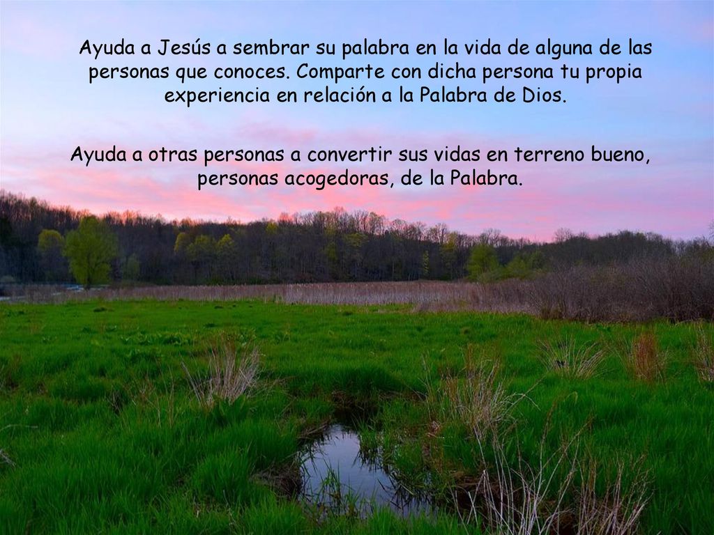Ayuda a Jesús a sembrar su palabra en la vida de alguna de las personas que conoces. Comparte con dicha persona tu propia experiencia en relación a la Palabra de Dios.