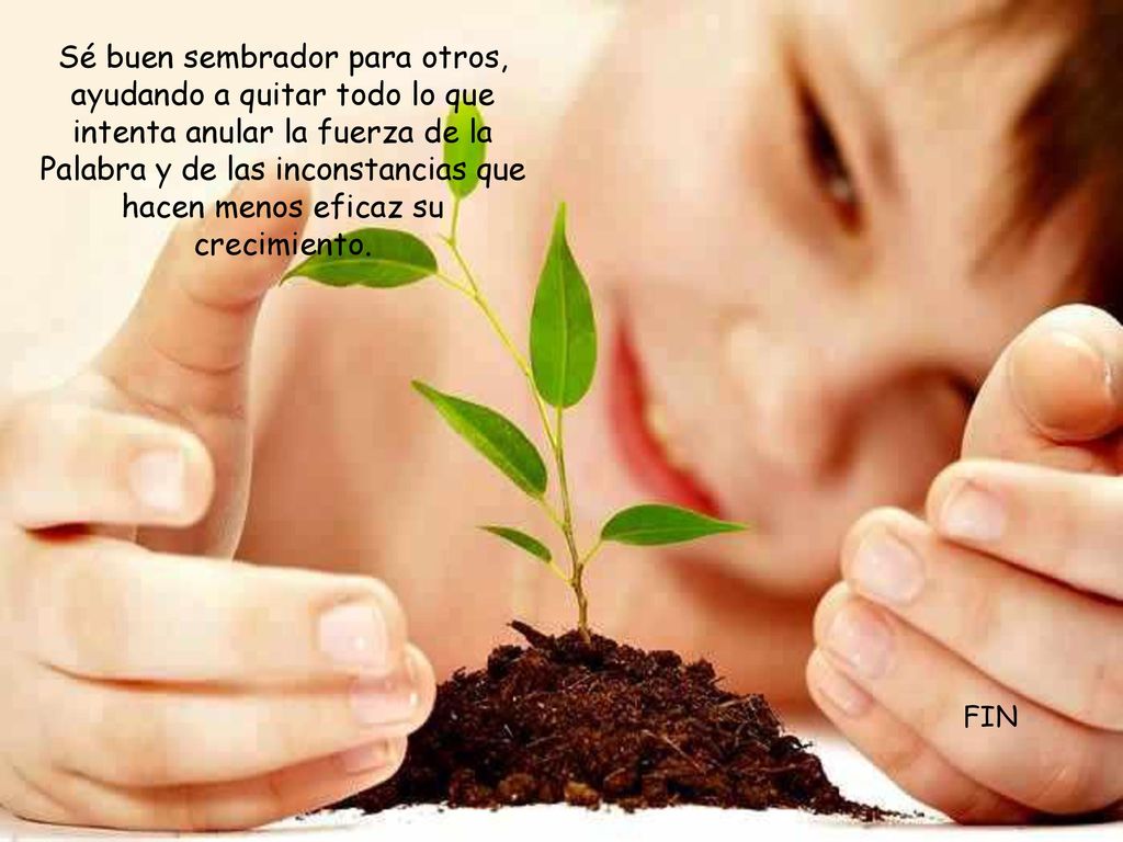 Sé buen sembrador para otros, ayudando a quitar todo lo que intenta anular la fuerza de la Palabra y de las inconstancias que hacen menos eficaz su crecimiento.