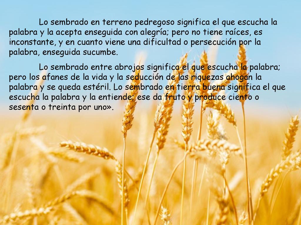 Lo sembrado en terreno pedregoso significa el que escucha la palabra y la acepta enseguida con alegría; pero no tiene raíces, es inconstante, y en cuanto viene una dificultad o persecución por la palabra, enseguida sucumbe.