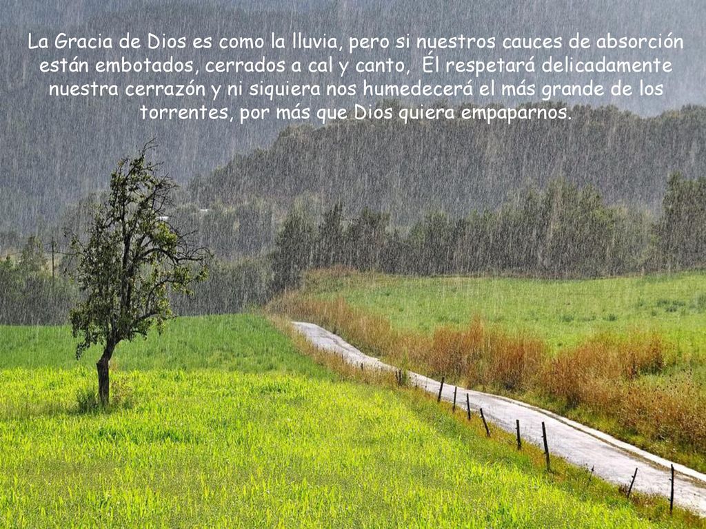 La Gracia de Dios es como la lluvia, pero si nuestros cauces de absorción están embotados, cerrados a cal y canto, Él respetará delicadamente nuestra cerrazón y ni siquiera nos humedecerá el más grande de los torrentes, por más que Dios quiera empaparnos.