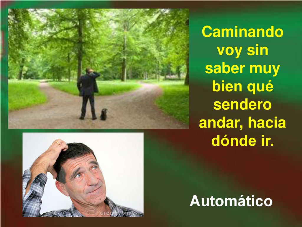Caminando voy sin saber muy bien qué sendero andar, hacia dónde ir.