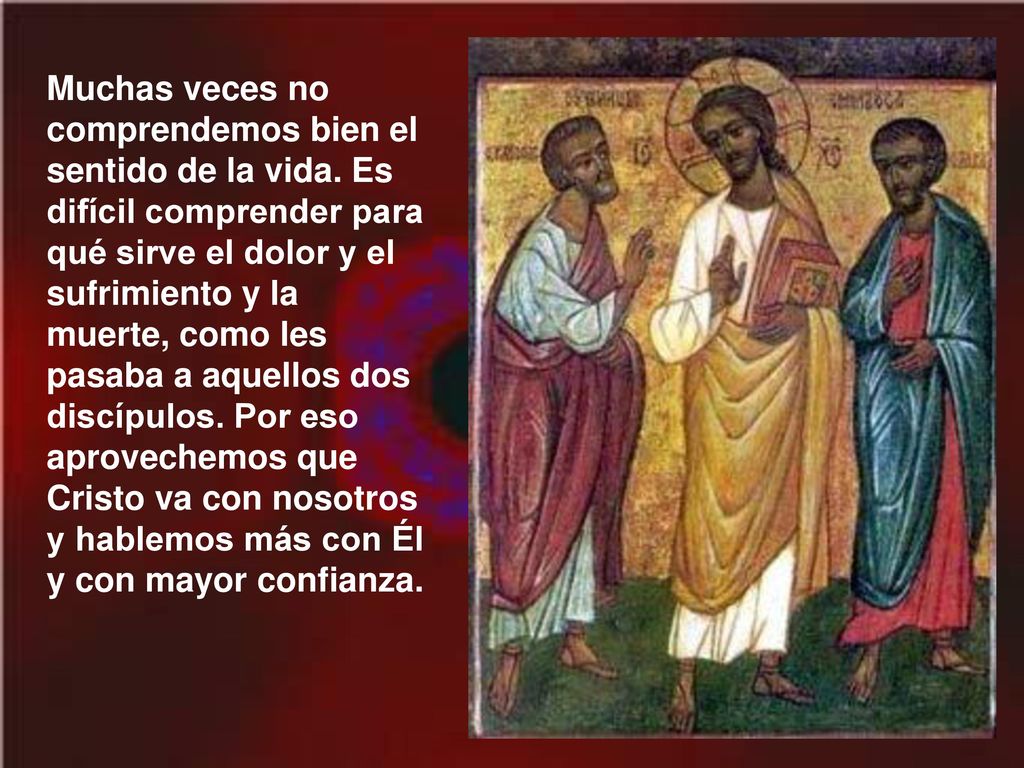Muchas veces no comprendemos bien el sentido de la vida