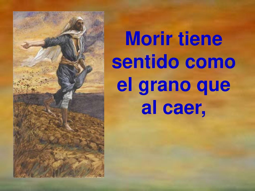 Morir tiene sentido como el grano que al caer,