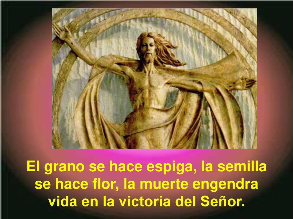 El grano se hace espiga, la semilla se hace flor, la muerte engendra vida en la victoria del Señor.