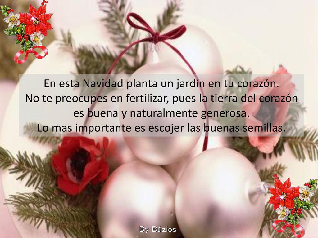 En esta Navidad planta un jardín en tu corazón.