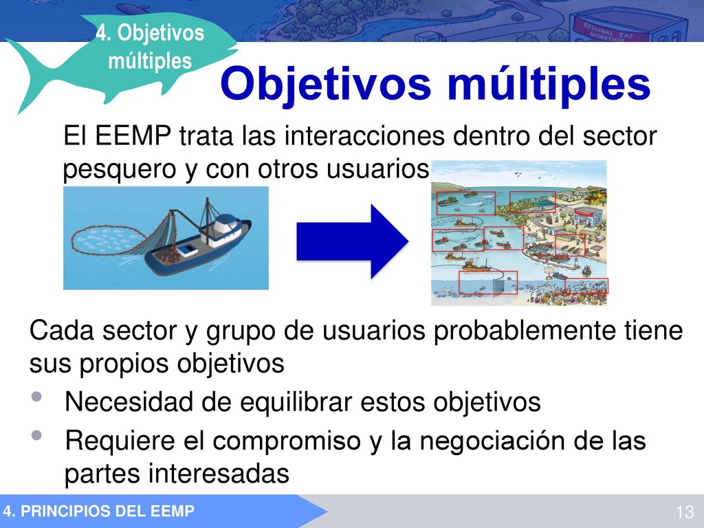 4. Objetivos múltiples Objetivos múltiples. El EEMP trata las interacciones dentro del sector pesquero y con otros usuarios.