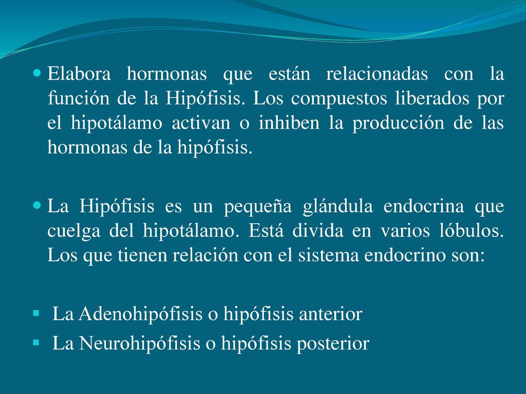Elabora hormonas que están relacionadas con la función de la Hipófisis