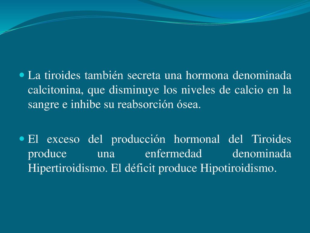 La tiroides también secreta una hormona denominada calcitonina, que disminuye los niveles de calcio en la sangre e inhibe su reabsorción ósea.