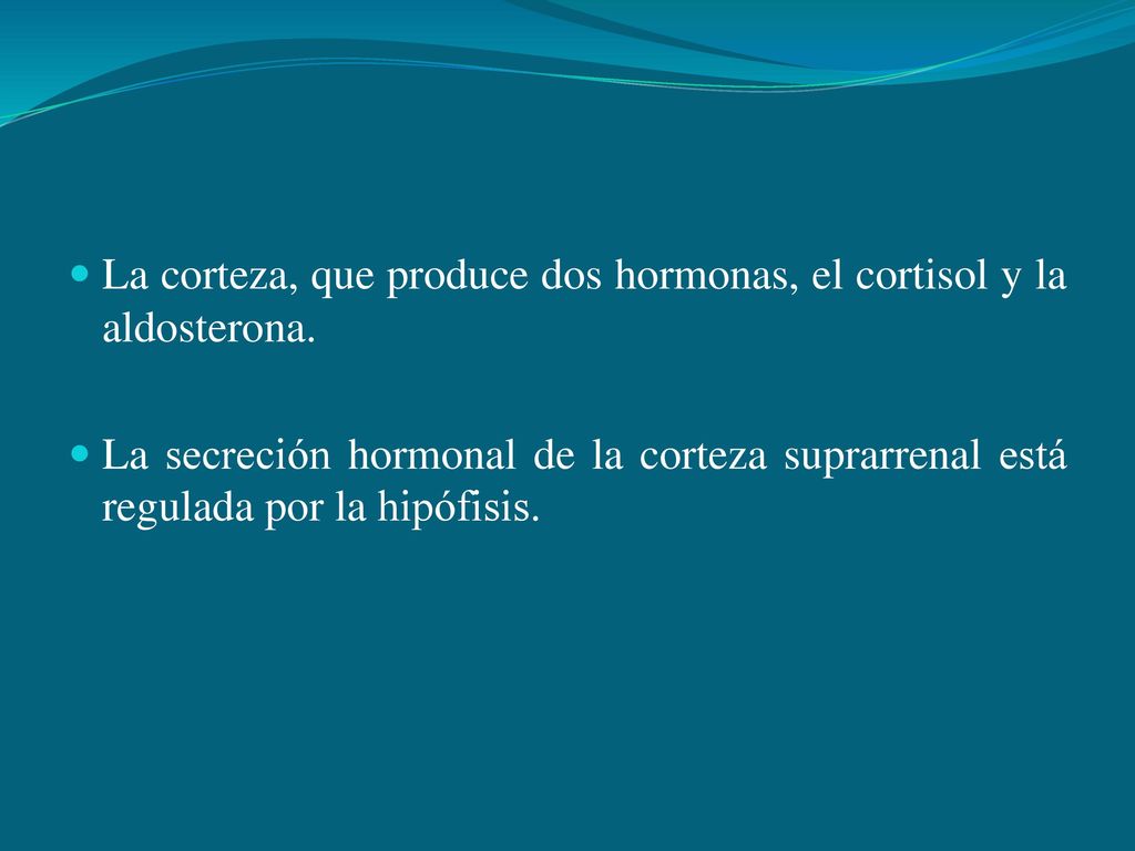 La corteza, que produce dos hormonas, el cortisol y la aldosterona.