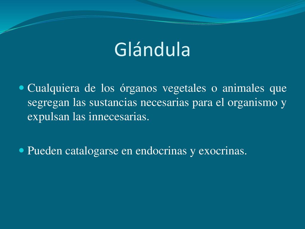Glándula Cualquiera de los órganos vegetales o animales que segregan las sustancias necesarias para el organismo y expulsan las innecesarias.