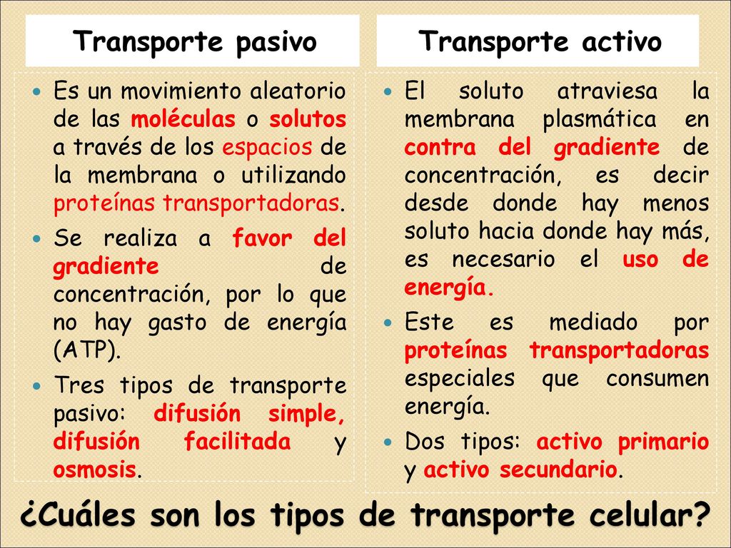 ¿Cuáles son los tipos de transporte celular