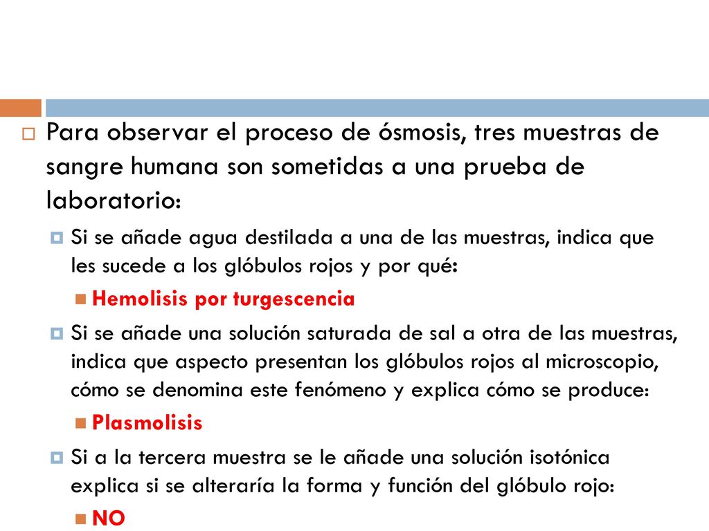 Para observar el proceso de ósmosis, tres muestras de sangre humana son sometidas a una prueba de laboratorio: