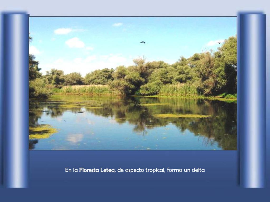 En la Floresta Letea, de aspecto tropical, forma un delta