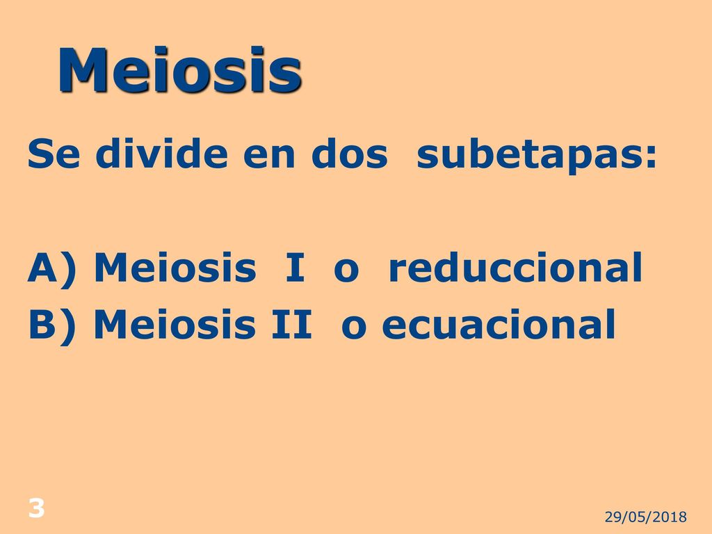 Meiosis Se divide en dos subetapas: A) Meiosis I o reduccional B) Meiosis II o ecuacional 29/05/2018.