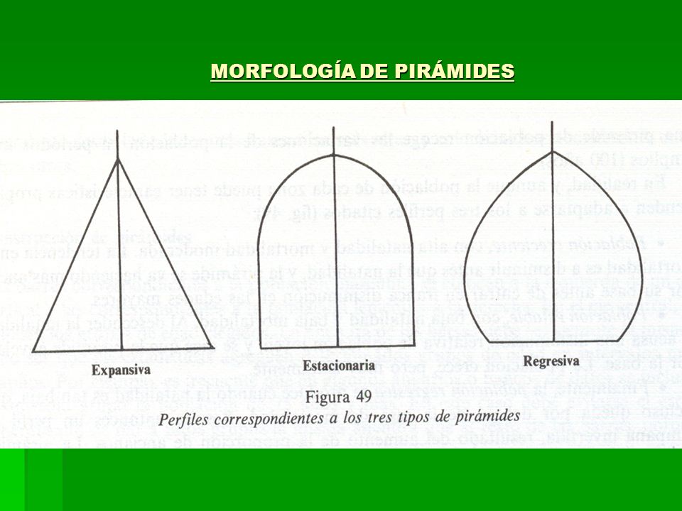 MORFOLOGÍA DE PIRÁMIDES