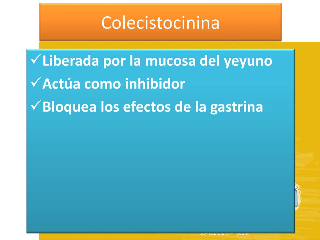Colecistocinina Liberada por la mucosa del yeyuno Actúa como inhibidor