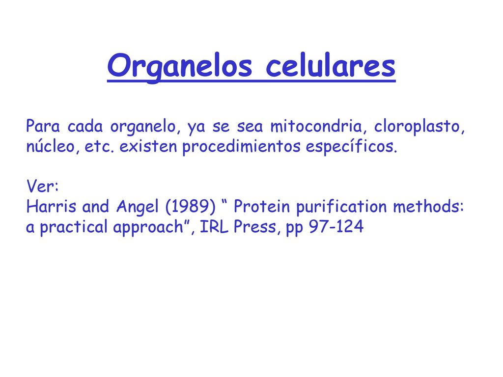 Organelos celulares Para cada organelo, ya se sea mitocondria, cloroplasto, núcleo, etc. existen procedimientos específicos.