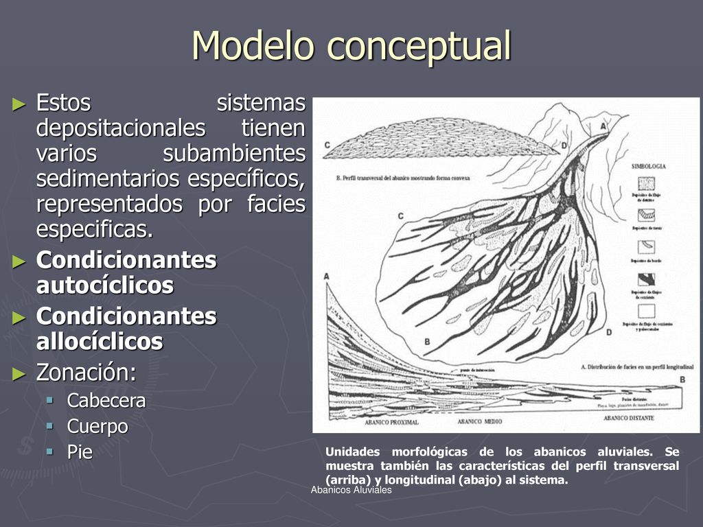 Modelo conceptual Estos sistemas depositacionales tienen varios subambientes sedimentarios específicos, representados por facies especificas.