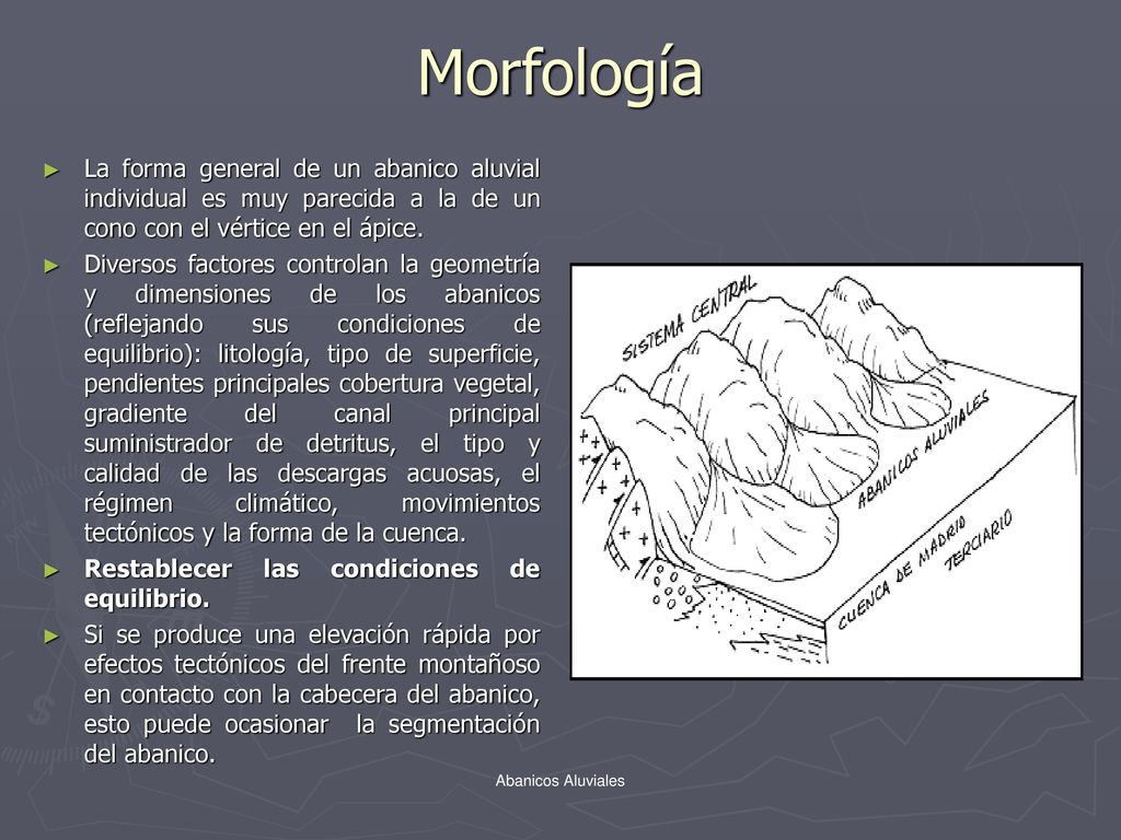 Morfología La forma general de un abanico aluvial individual es muy parecida a la de un cono con el vértice en el ápice.
