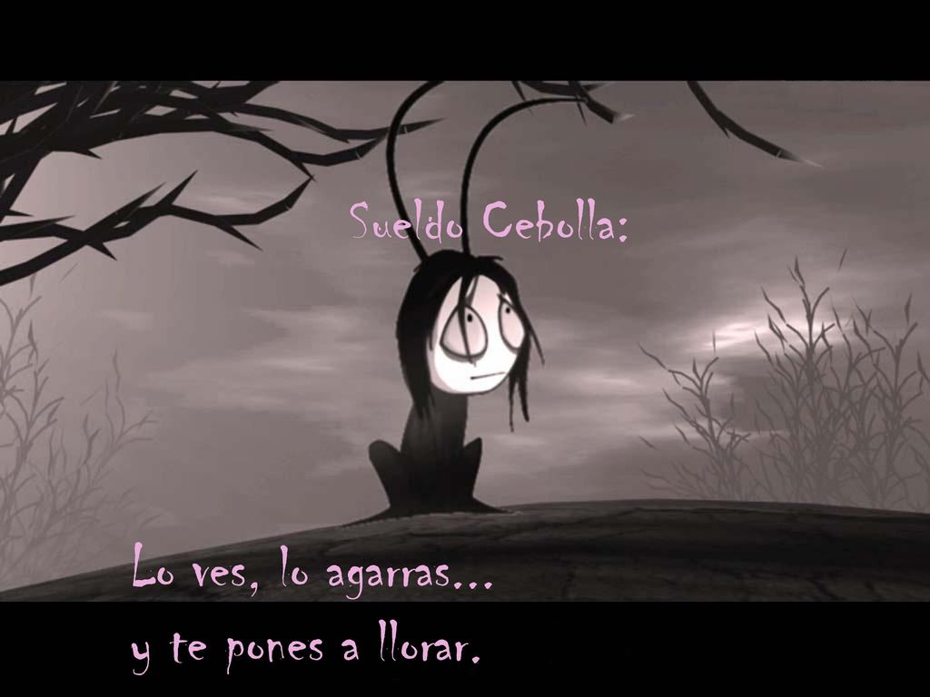 Sueldo Cebolla: Lo ves, lo agarras... y te pones a llorar.