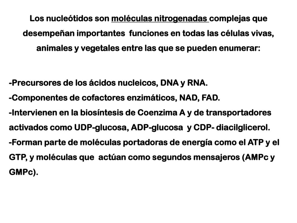 Los nucleótidos son moléculas nitrogenadas complejas que desempeñan importantes funciones en todas las células vivas, animales y vegetales entre las que se pueden enumerar: