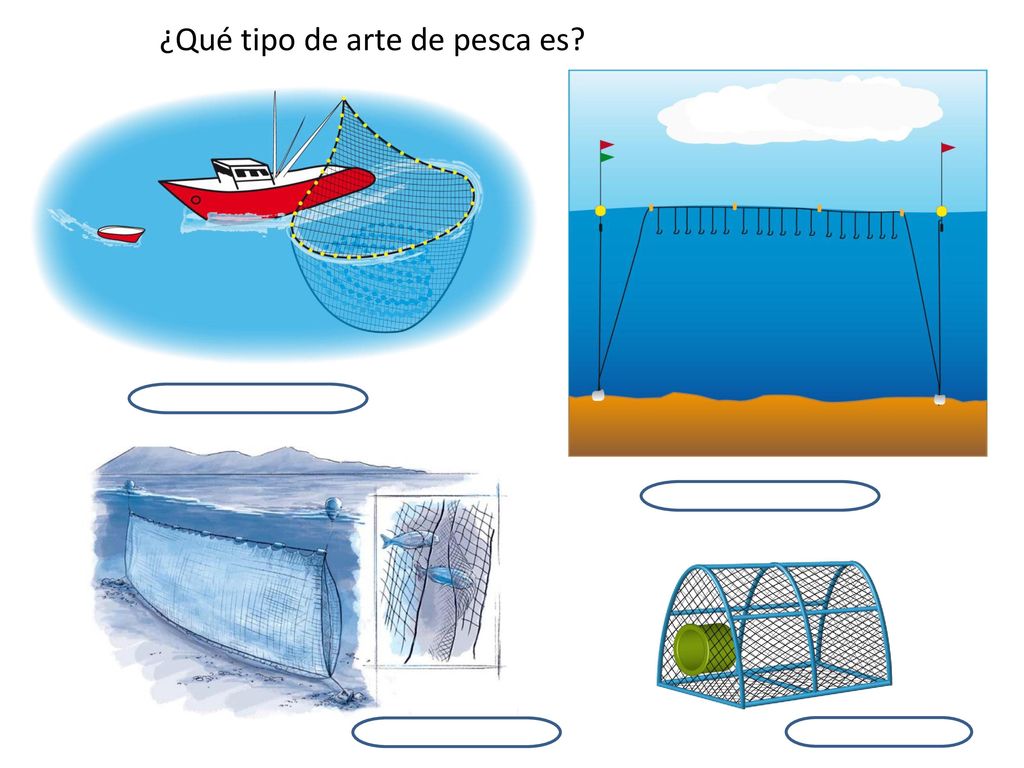 ¿Qué tipo de arte de pesca es