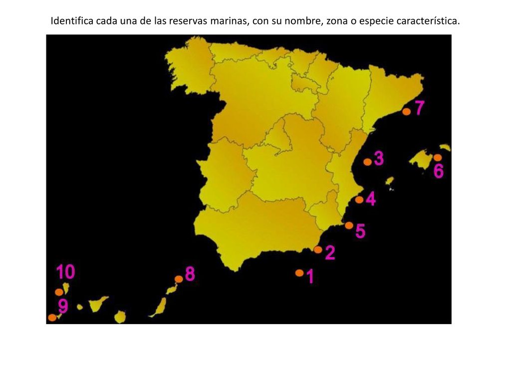 Identifica cada una de las reservas marinas, con su nombre, zona o especie característica.