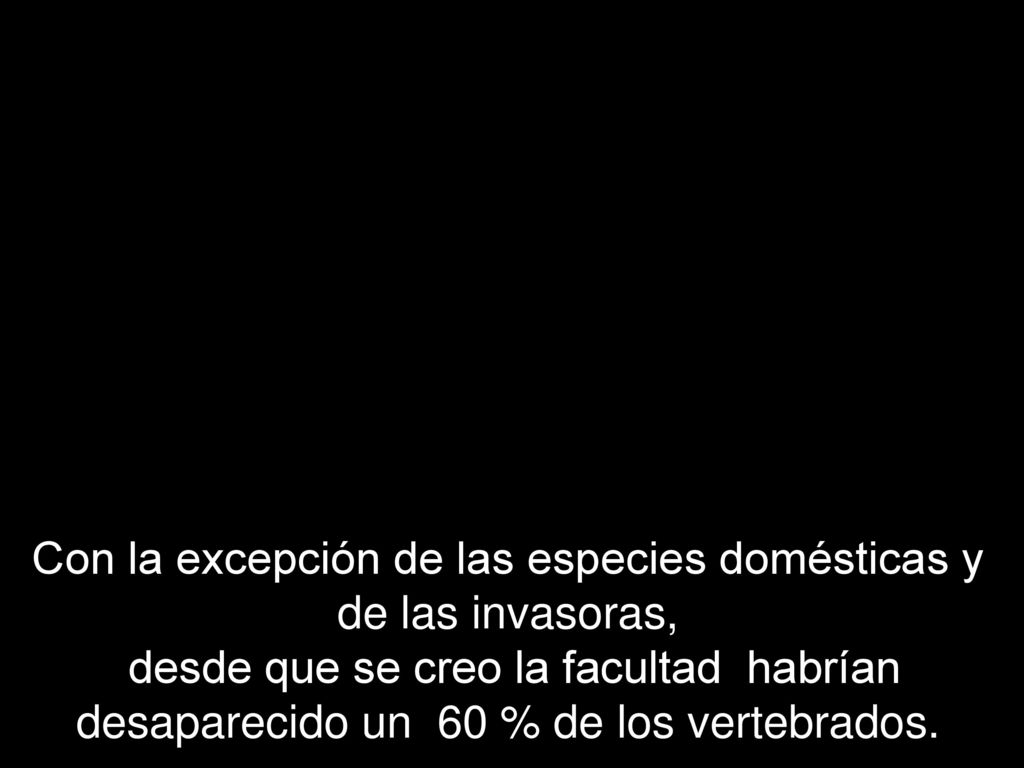 Con la excepción de las especies domésticas y de las invasoras, desde que se creo la facultad habrían desaparecido un 60 % de los vertebrados.