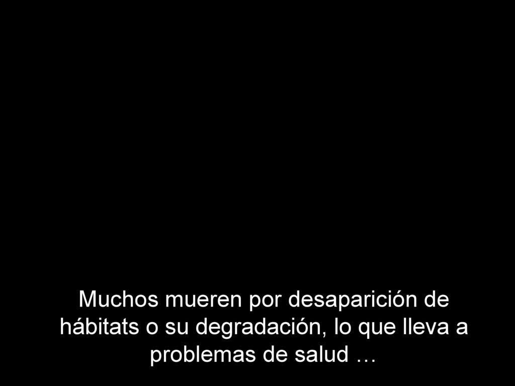 Muchos mueren por desaparición de hábitats o su degradación, lo que lleva a problemas de salud …