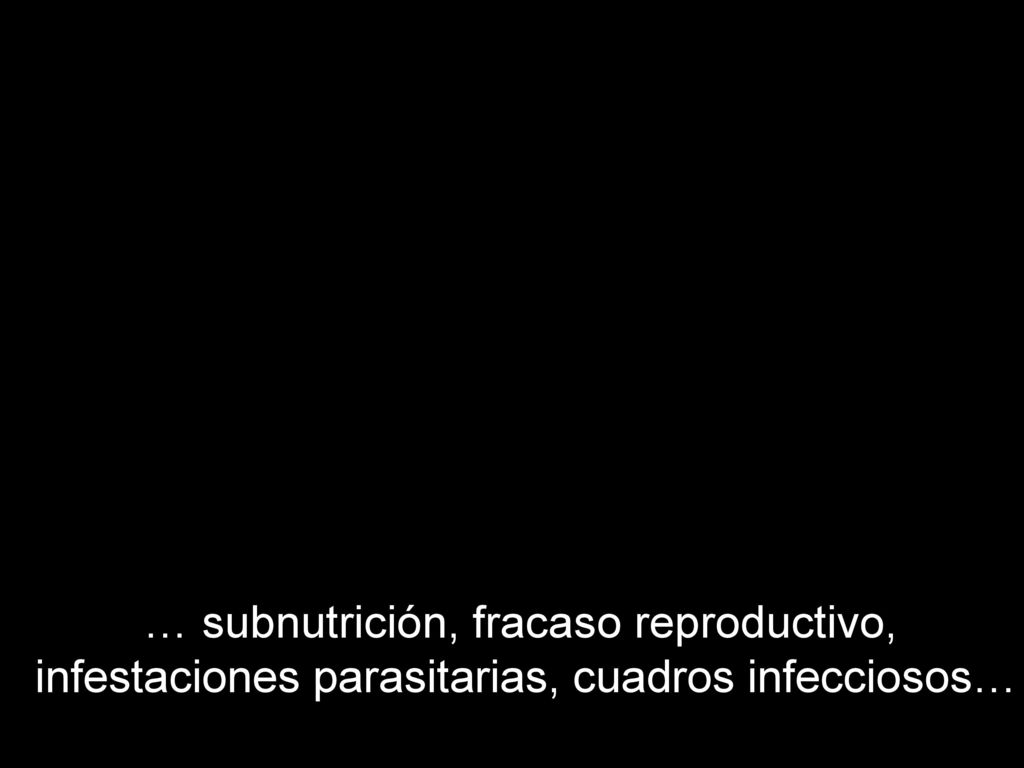 … subnutrición, fracaso reproductivo, infestaciones parasitarias, cuadros infecciosos…