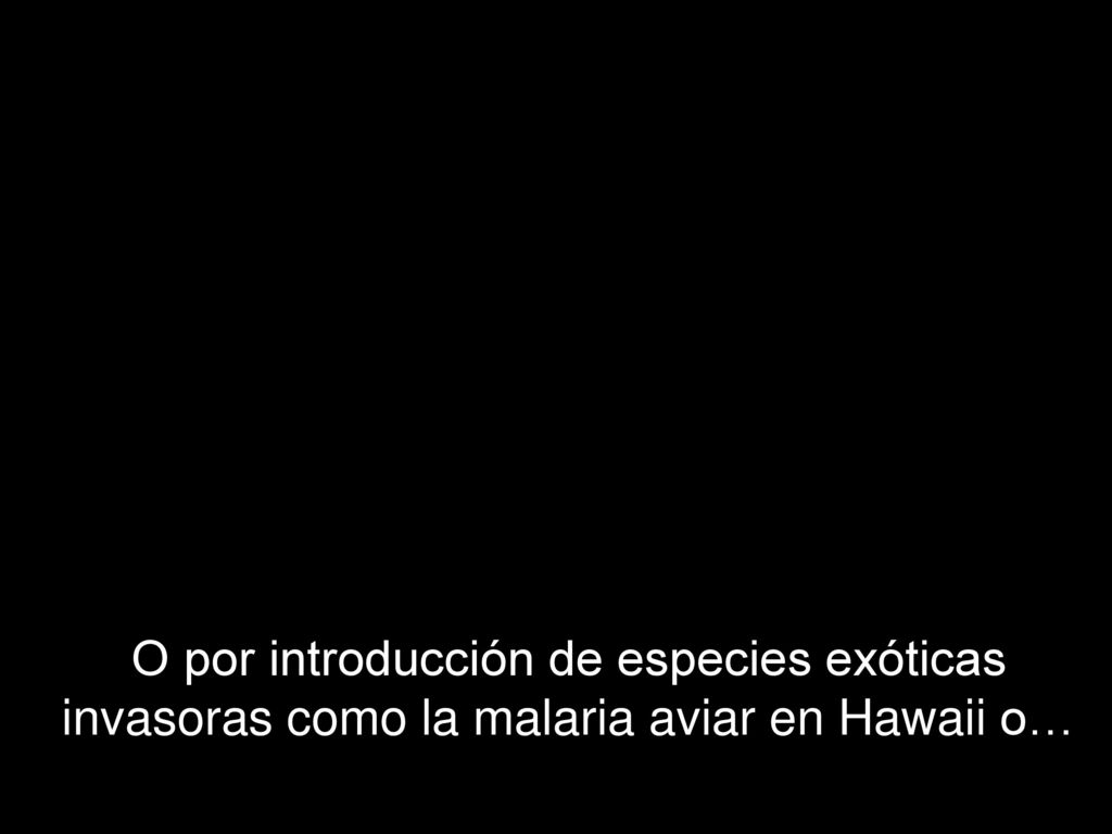 O por introducción de especies exóticas invasoras como la malaria aviar en Hawaii o…