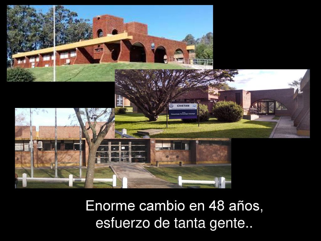 Enorme cambio en 48 años, esfuerzo de tanta gente..