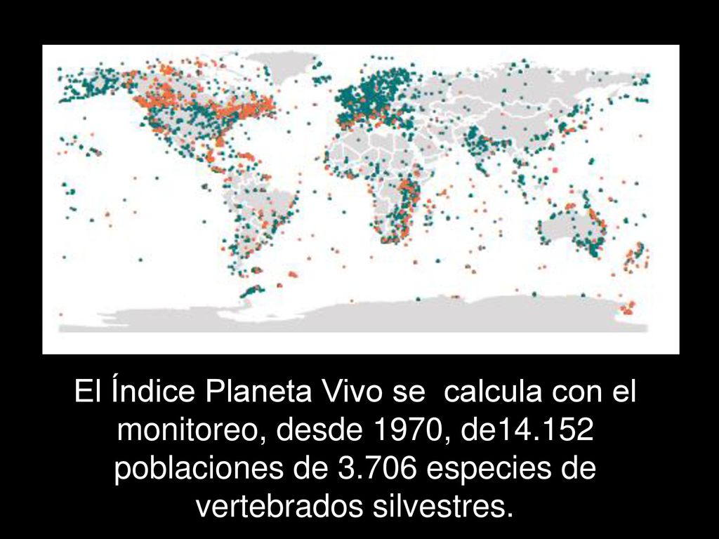 El Índice Planeta Vivo se calcula con el monitoreo, desde 1970, de14