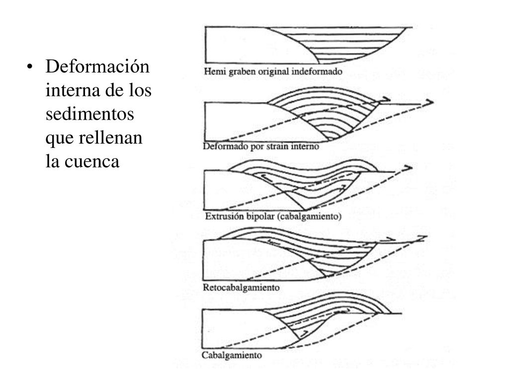 Deformación interna de los sedimentos que rellenan la cuenca