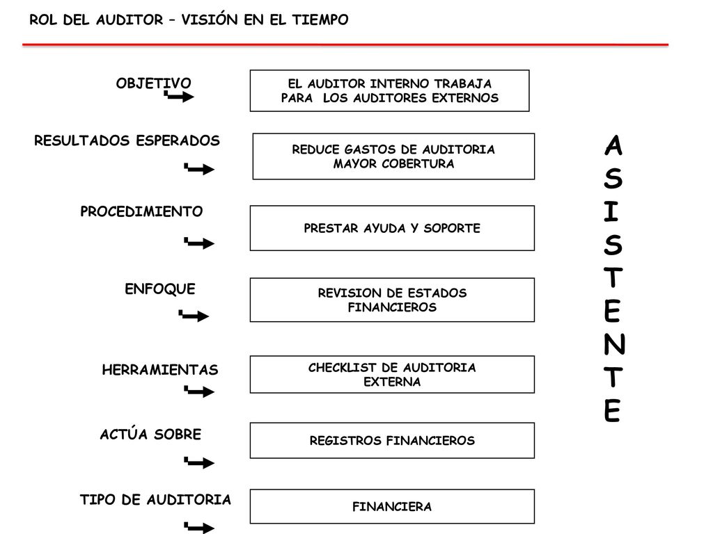 ASISTENTE ROL DEL AUDITOR – VISIÓN EN EL TIEMPO OBJETIVO
