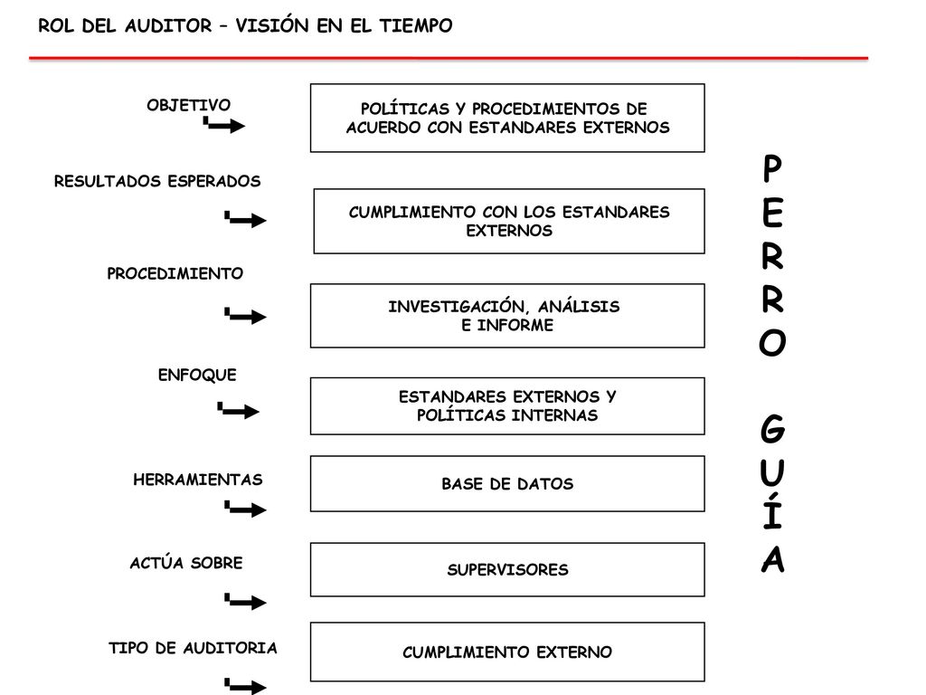 PERRO GUÍA ROL DEL AUDITOR – VISIÓN EN EL TIEMPO