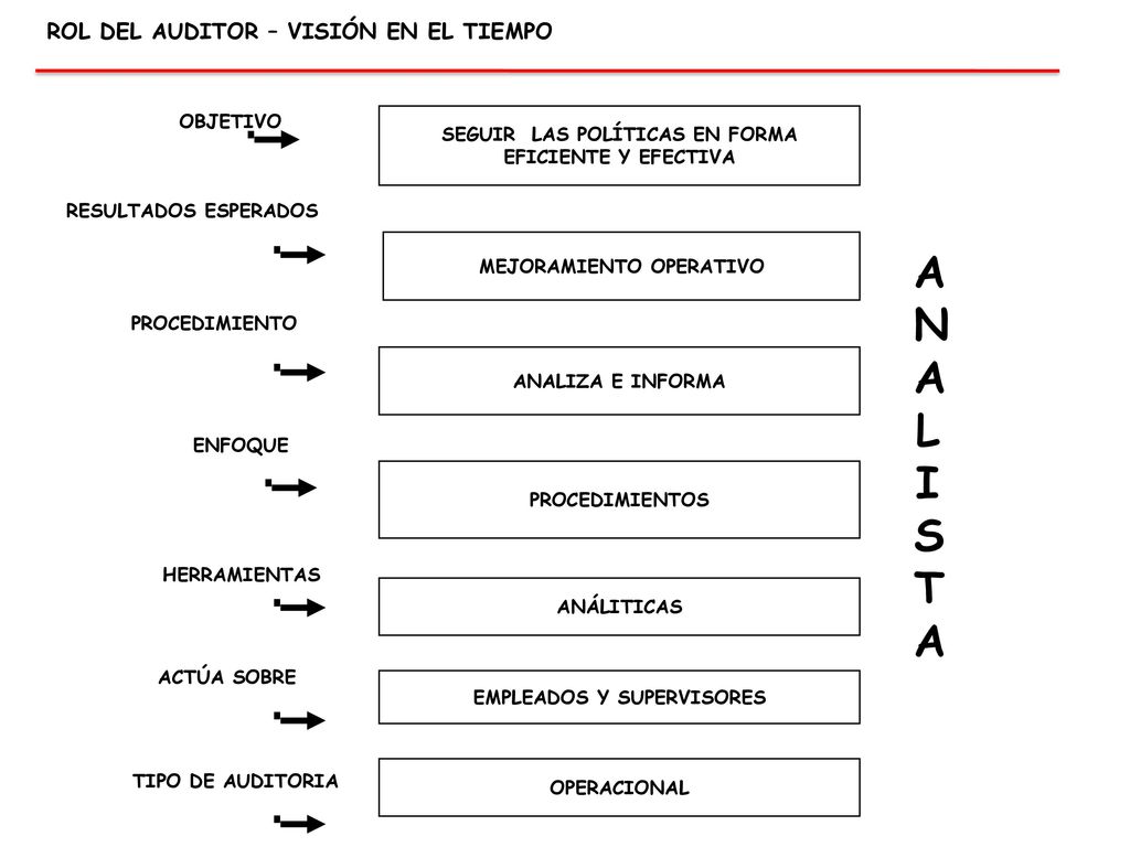 ANALISTA ROL DEL AUDITOR – VISIÓN EN EL TIEMPO