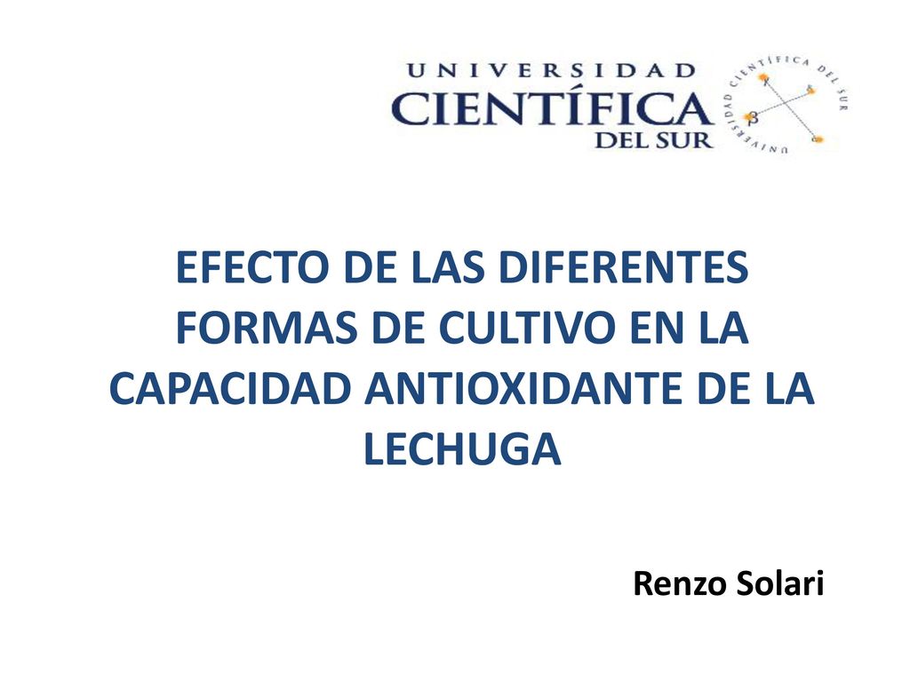 EFECTO DE LAS DIFERENTES FORMAS DE CULTIVO EN LA CAPACIDAD ANTIOXIDANTE DE LA LECHUGA