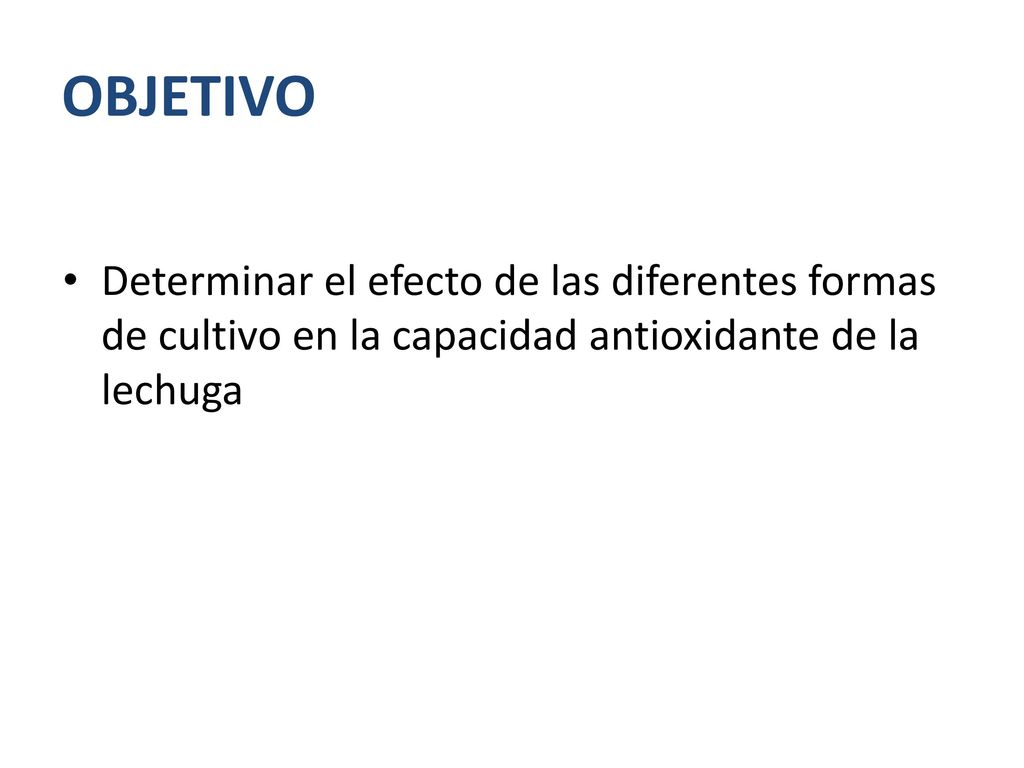 OBJETIVO Determinar el efecto de las diferentes formas de cultivo en la capacidad antioxidante de la lechuga.
