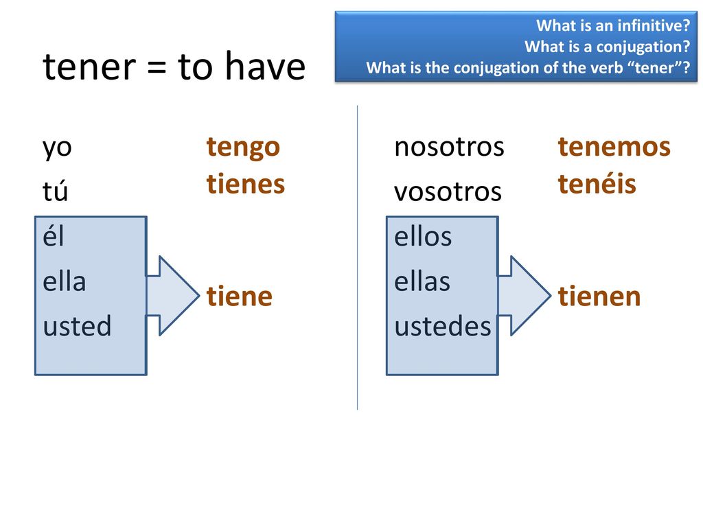 What is an infinitive What is a conjugation What is the conjugation of the verb tener tener = to have.