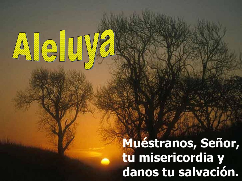 Aleluya Muéstranos, Señor, tu misericordia y danos tu salvación.