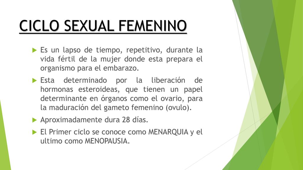 CICLO SEXUAL FEMENINO Es un lapso de tiempo, repetitivo, durante la vida fértil de la mujer donde esta prepara el organismo para el embarazo.