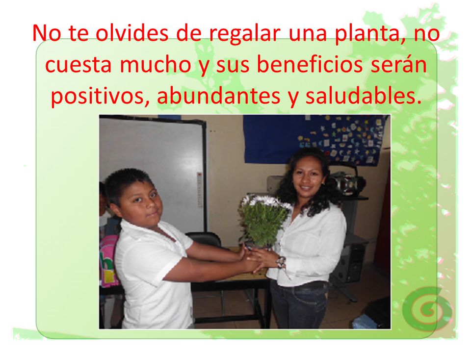 No te olvides de regalar una planta, no cuesta mucho y sus beneficios serán positivos, abundantes y saludables.