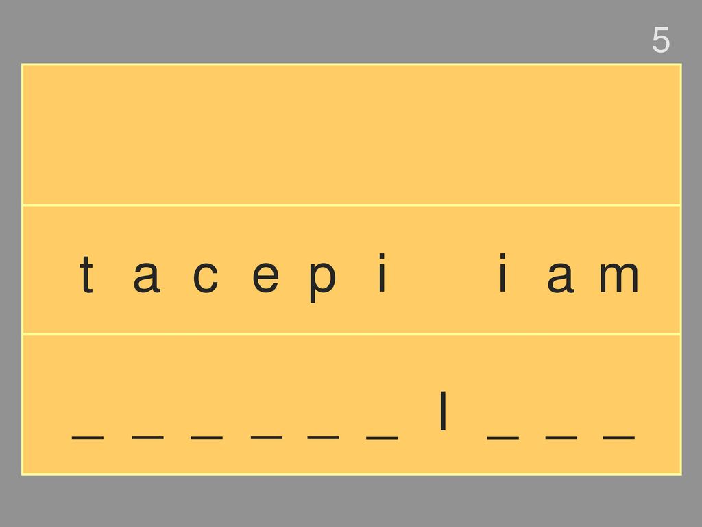5 t a c e p i i a m _ _ _ _ _ _ l _ _ _