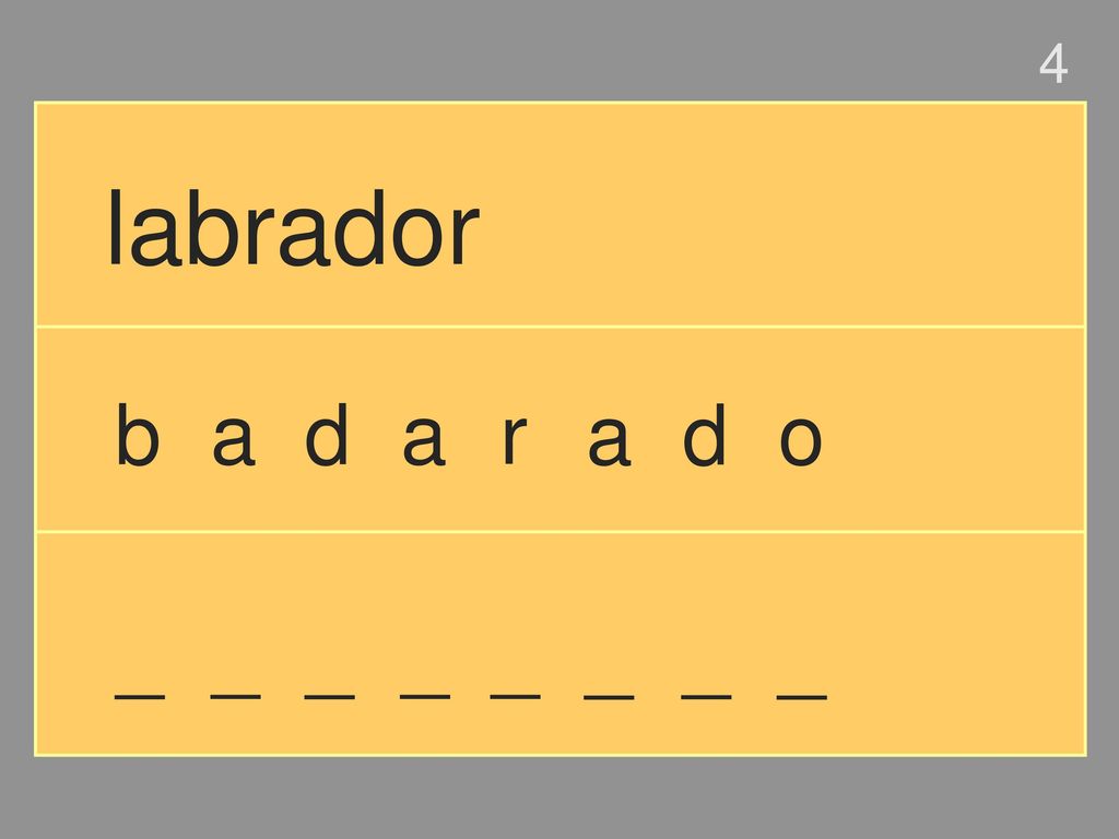 4 labrador b a d a r a d o _ _ _ _ _ _ _ _