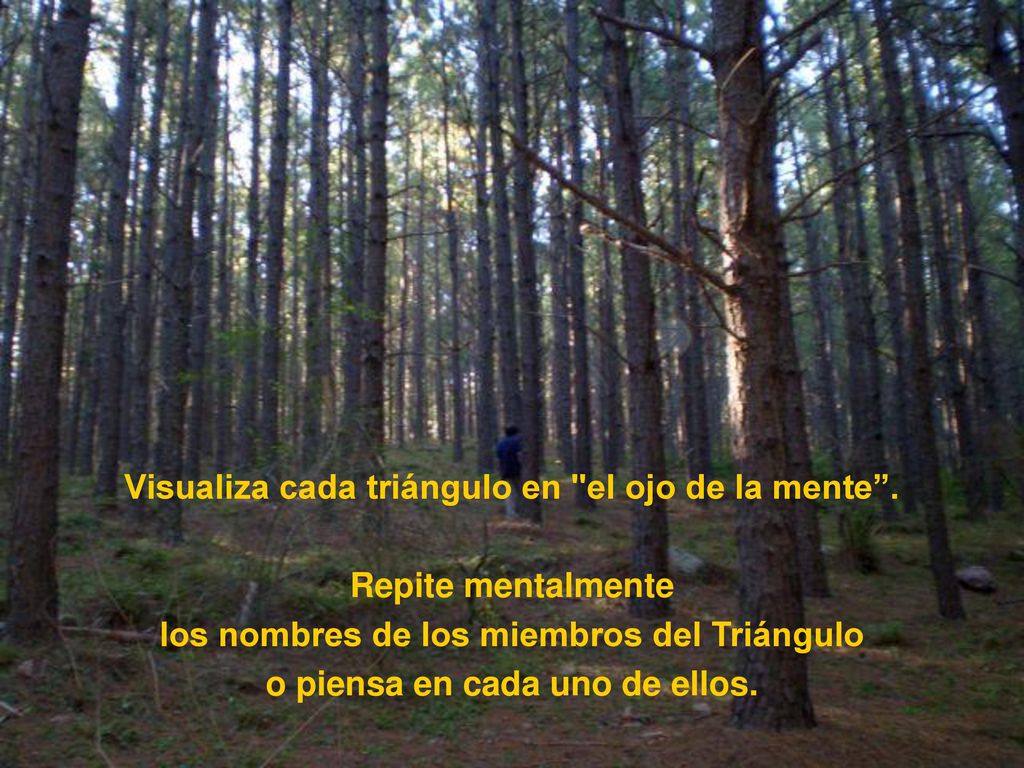 Visualiza cada triángulo en el ojo de la mente . Repite mentalmente