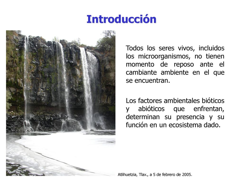 Introducción Todos los seres vivos, incluidos los microorganismos, no tienen momento de reposo ante el cambiante ambiente en el que se encuentran.